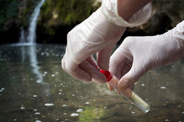 Scientist examing wastewater