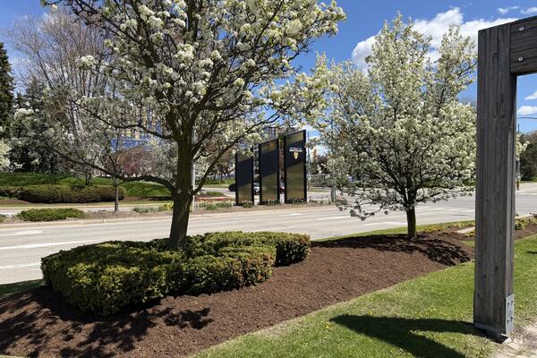 University of Waterloo sign in spring time