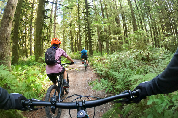 people cycling in a forest