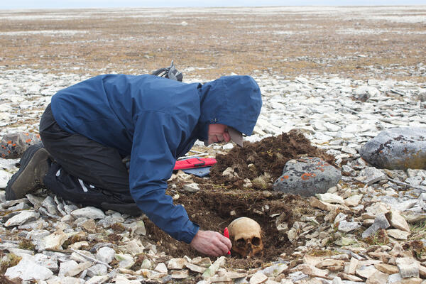 Man excavating a human skull from the ground