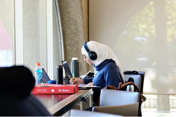A student studying by the window in Dana Porter Library