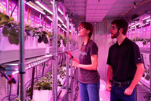 Danielle and Matthew Rose. Ceragen’s new location includes growing space to test new products for cucumbers and strawberries.
