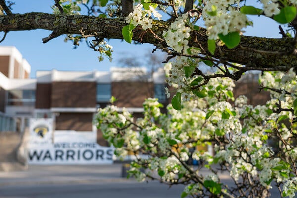 Warrior mural on display beyond some foliage