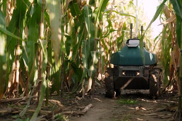 Four-wheeled robot goes down a row within a farmer's field