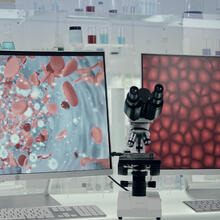computer and microscope in lab