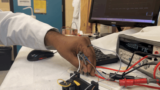 A pair of electrodes captures the charge generated from the water-induced electric generator device and the walnut to generate e