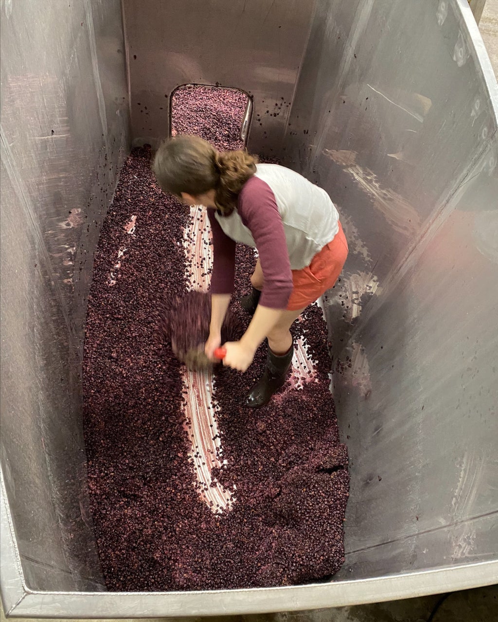 Charlotte shoveling grapes