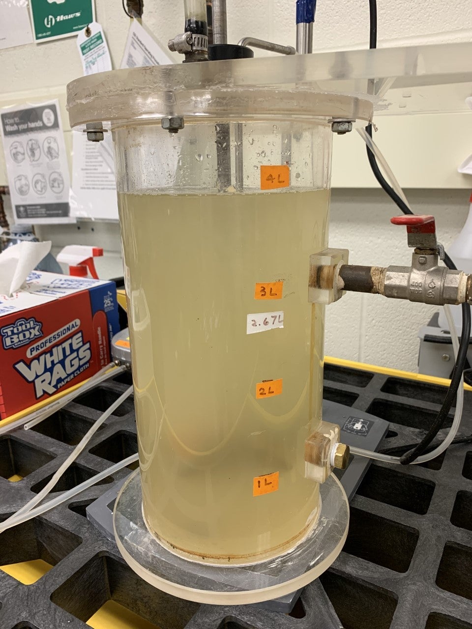 biopolymers extracted from food waste