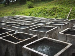Biosand filter