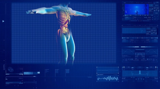 New computer kidney developed.