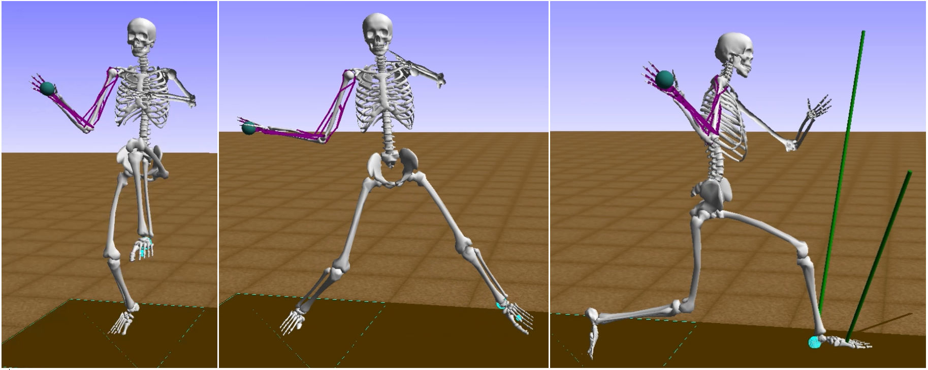 Digital skeleton developed by researchers at University of Waterloo shows the stages in a typical baseball pitching delivery.