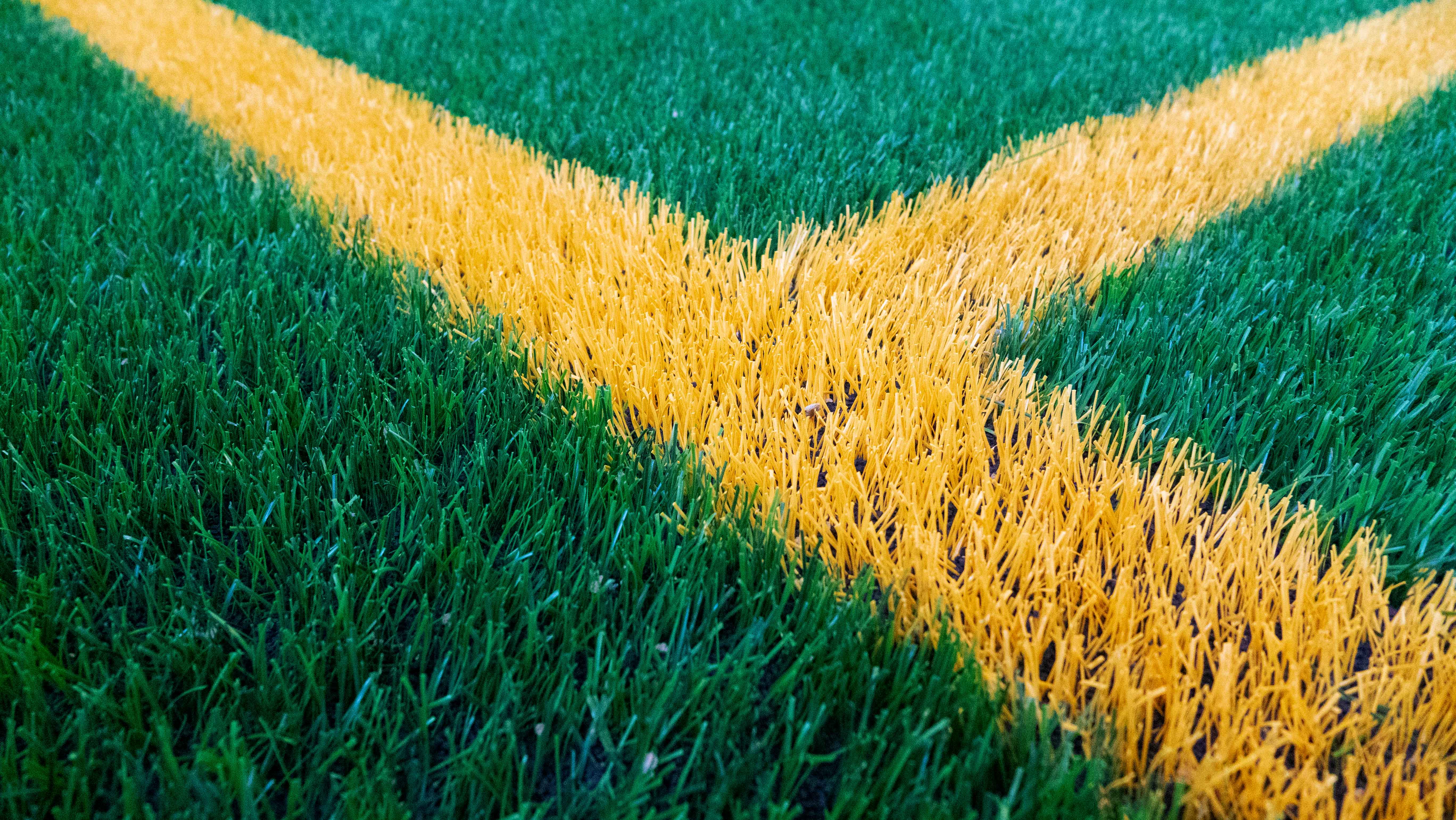 Field House turf