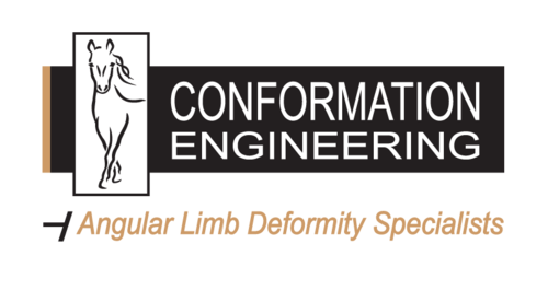 Conformation Engineering logo