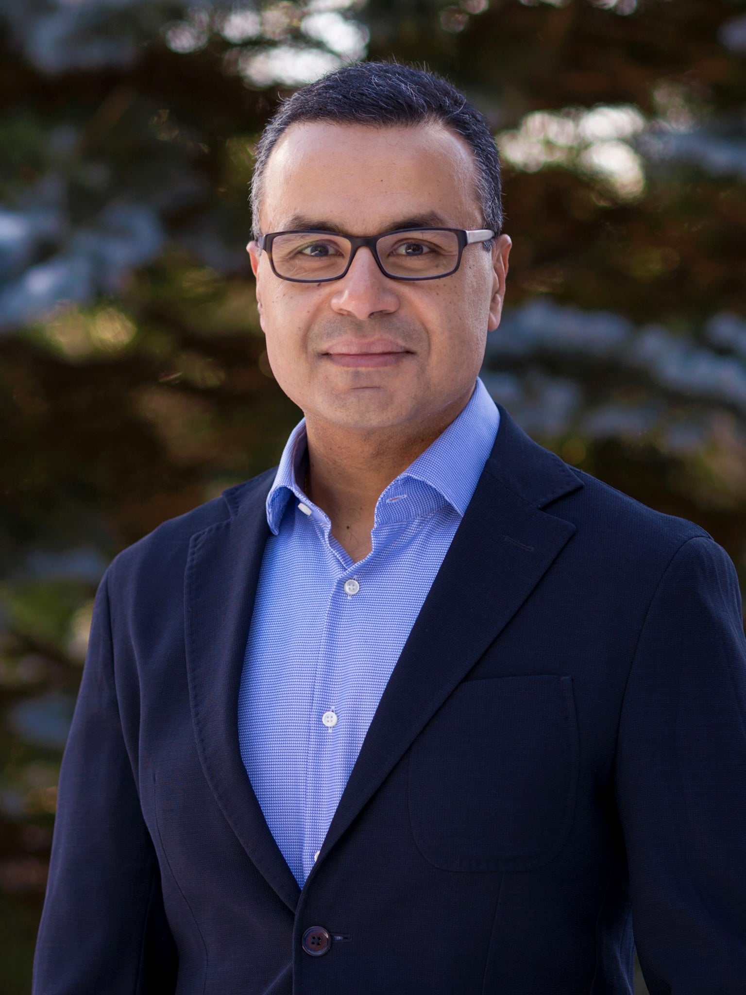 Dr. Ihab Ilyas