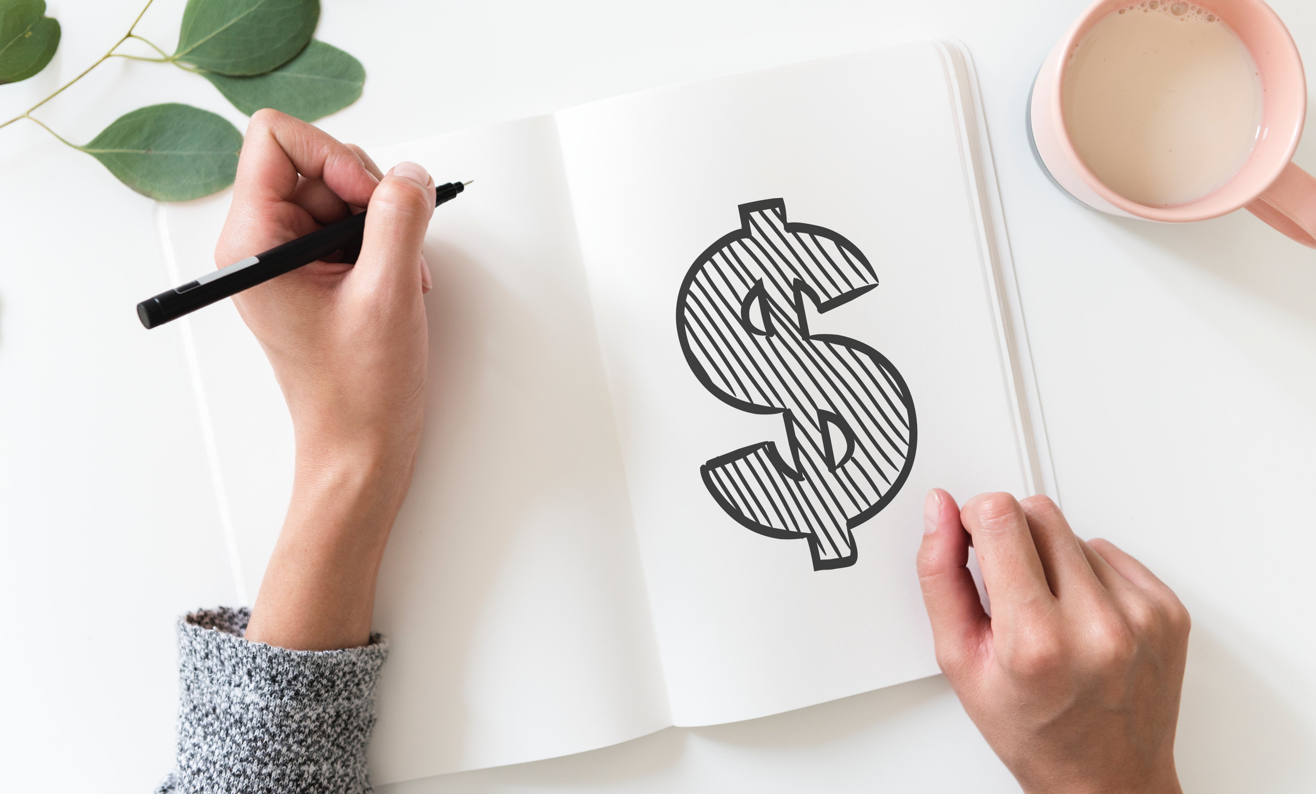 Notebook drawing of a dollar sign