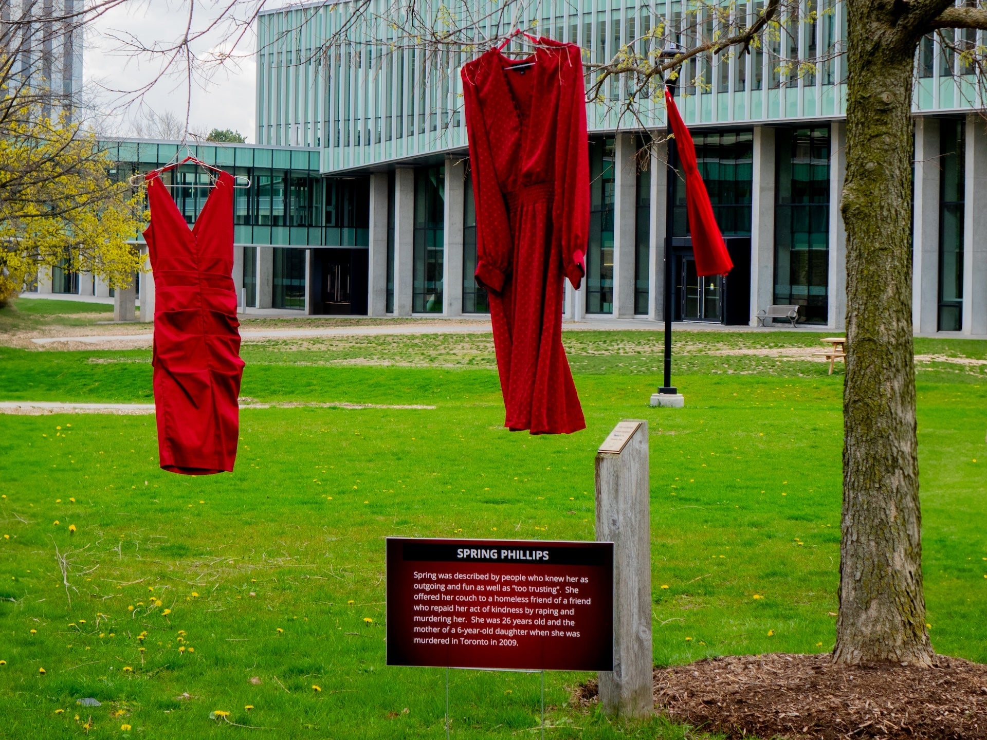 Red dresses hanging from a tree in B.C. Mathew Hall Green in 2023
