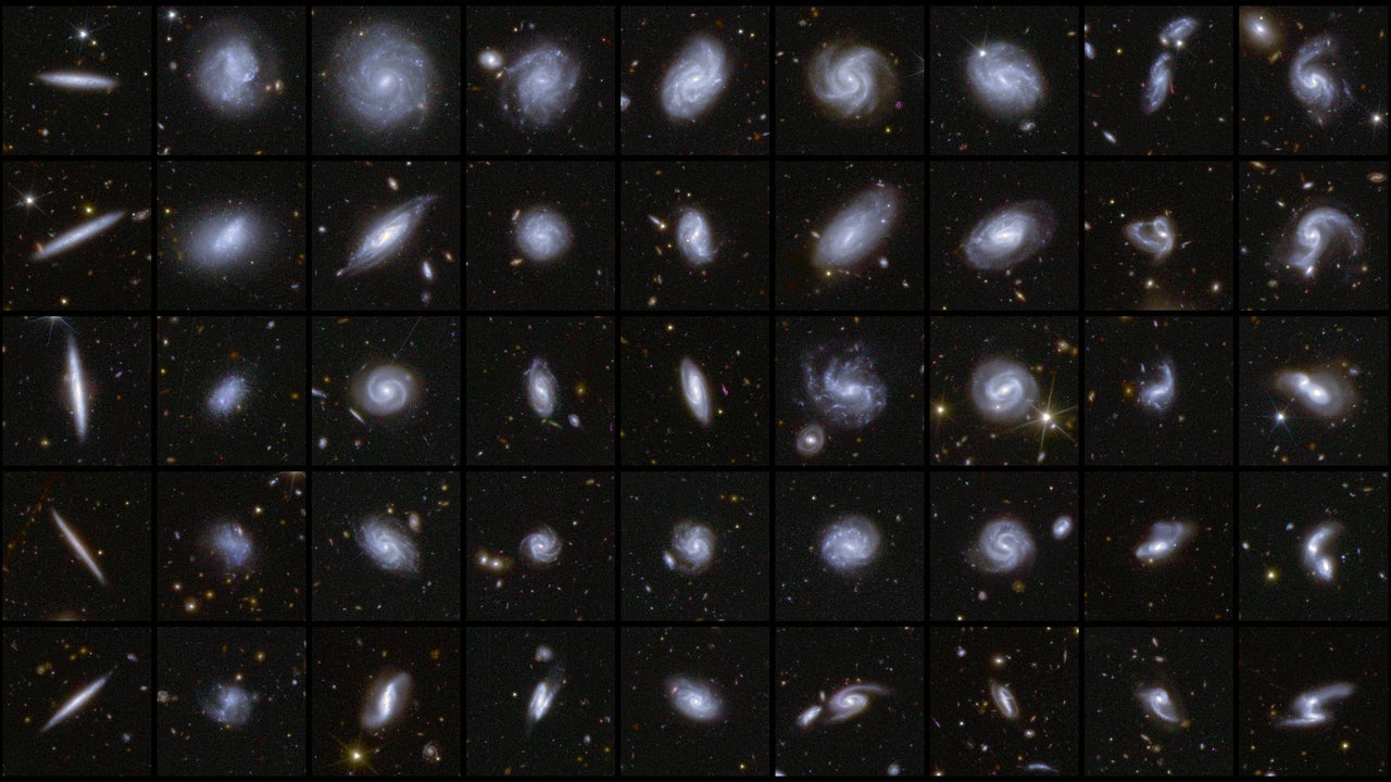 This image shows examples of galaxies in different shapes, all captured by Euclid during its first observations.