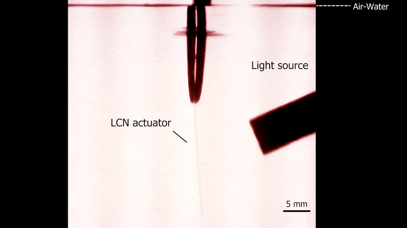 A demonstration of how the use of light is able to "bend" the leg of the robot.