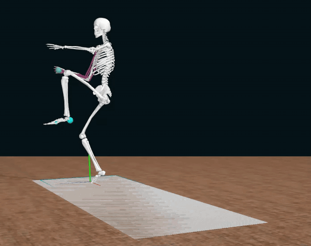 Digital skeleton developed to examine the forces at work when a professional player pitches.