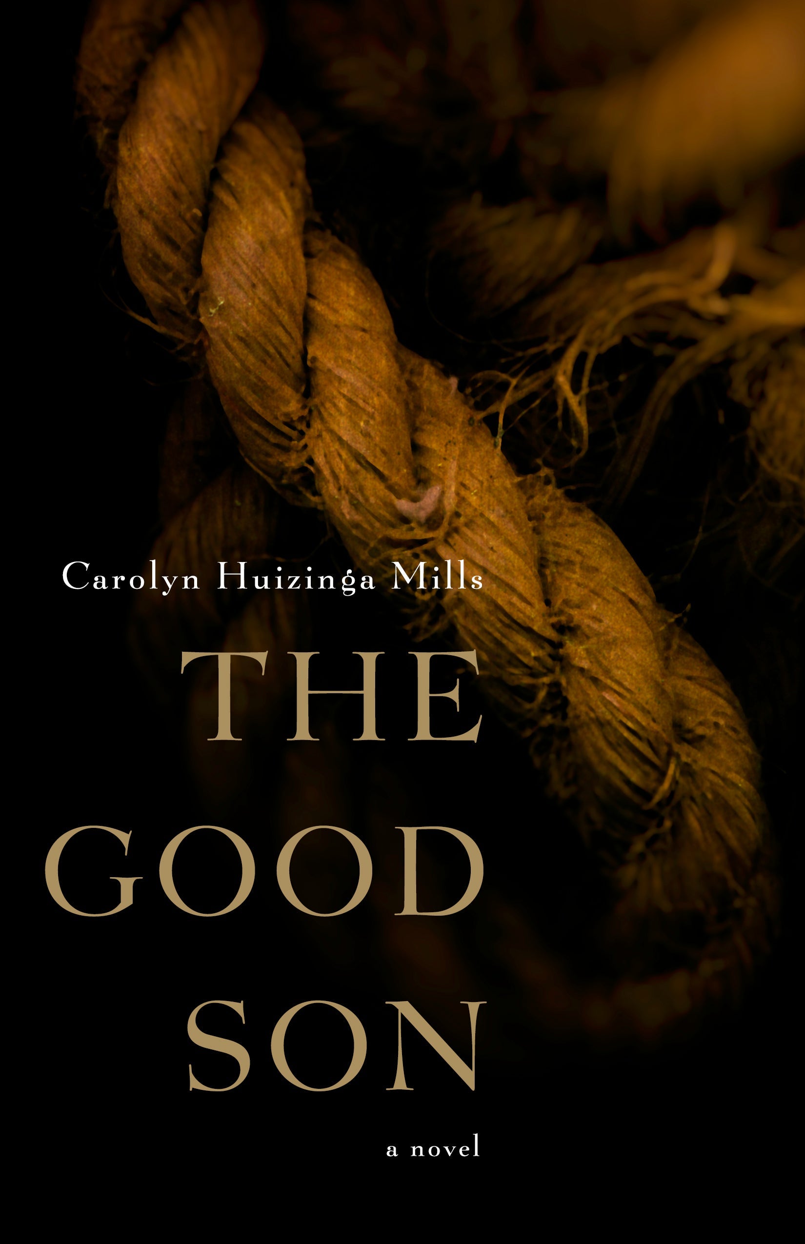 Book Cover of The Good Son
