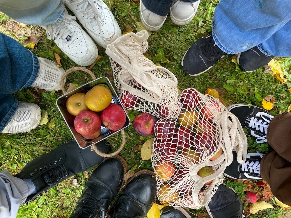 Youth across Waterloo region pick up apples as part of Harvest to Garnish's educational program