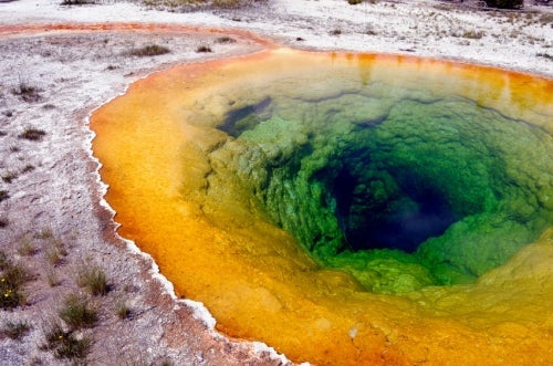 Water filled with algae.