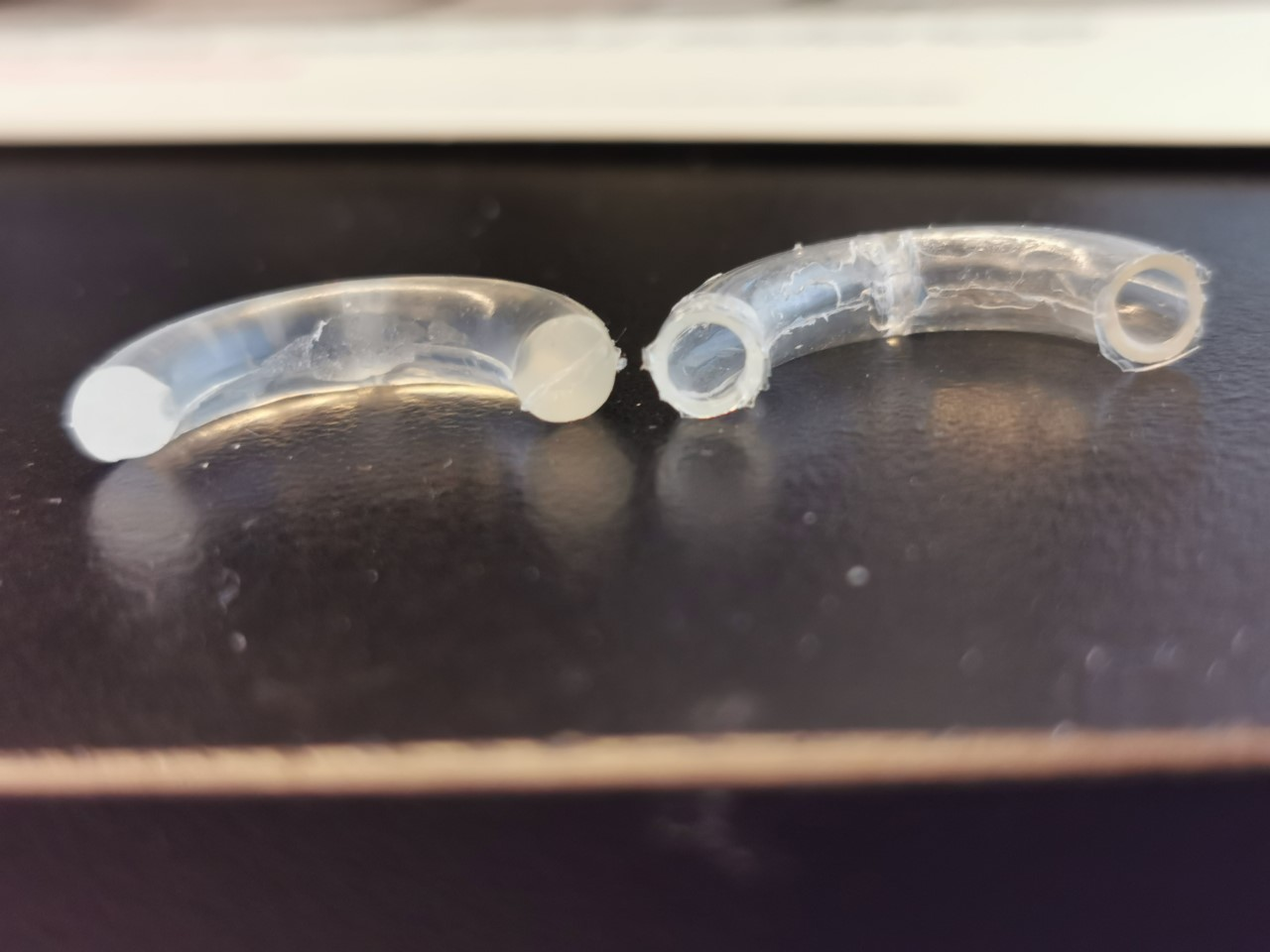 Photos of IVR: the left half is a solid section that releases gene-therapy. The right half is a hollow portion that releases HCQ