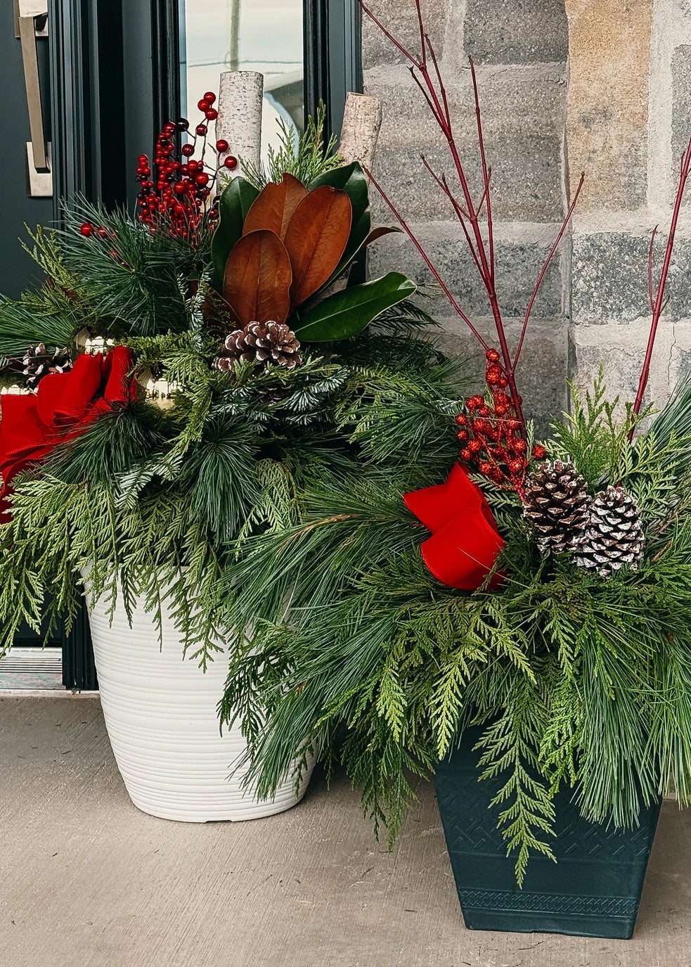 Porch plants