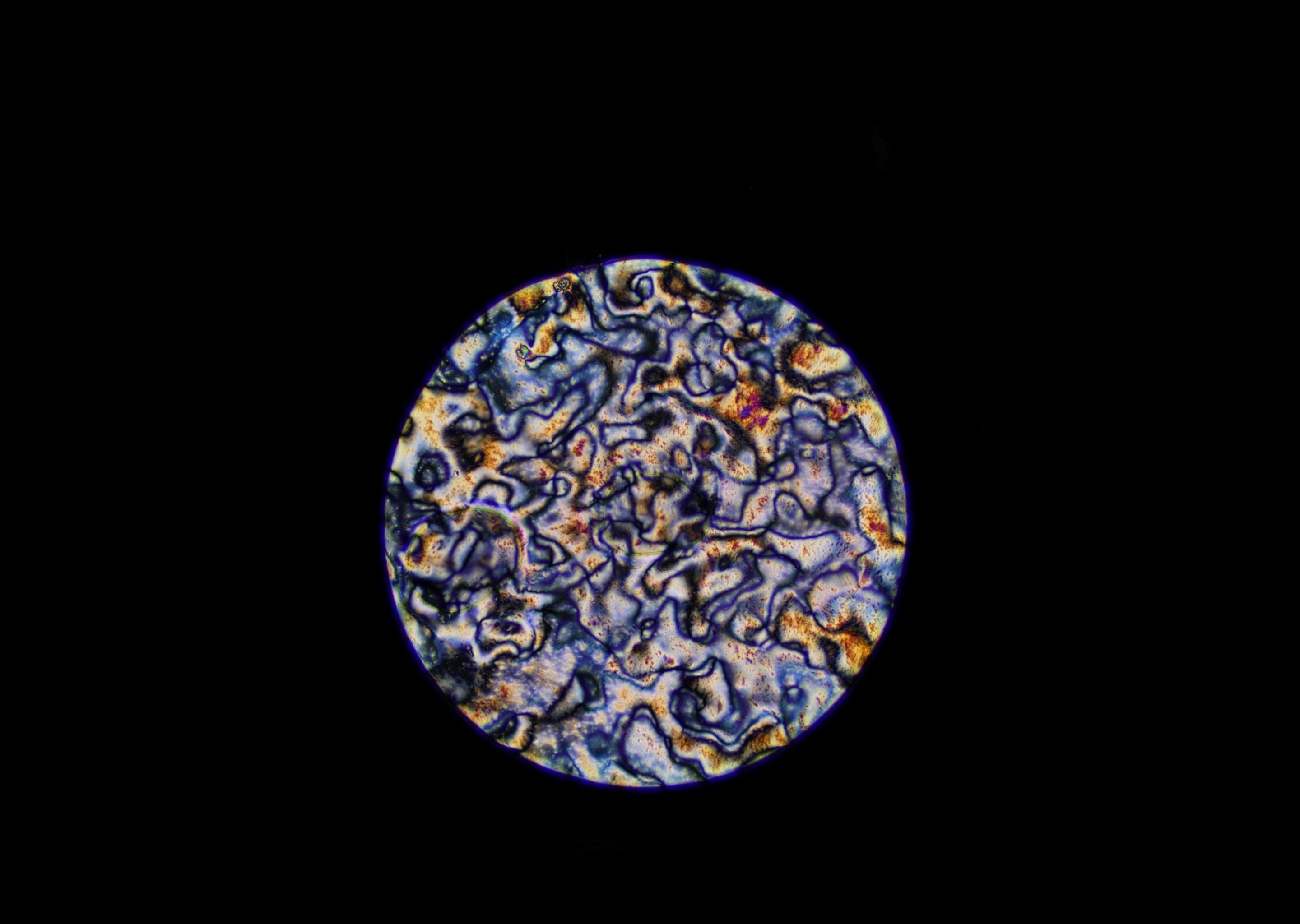 A look through a microscope at a liquid crystal used to make rubber-like materials stiffer and stronger for artificial muscles i