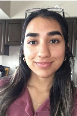 manreet birdi