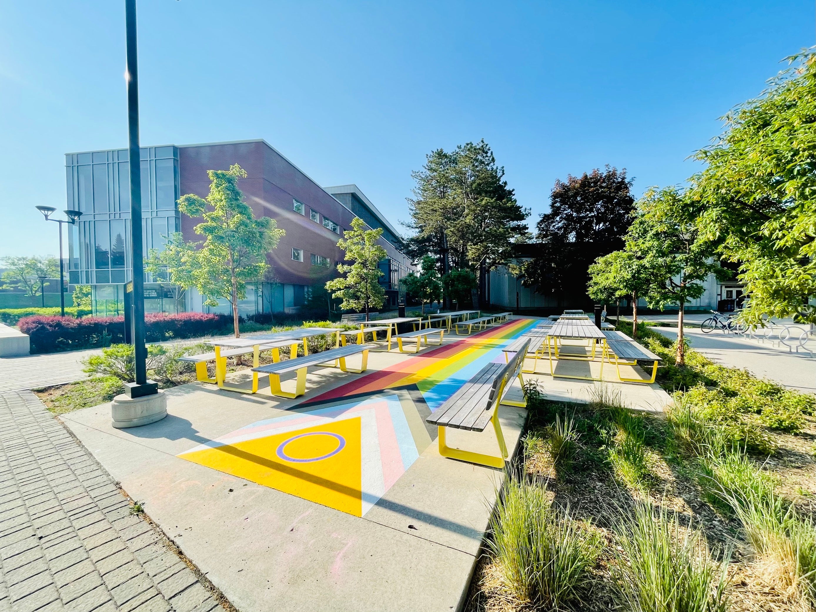 an intersex inclusive flag painted on a well-travelled pathway