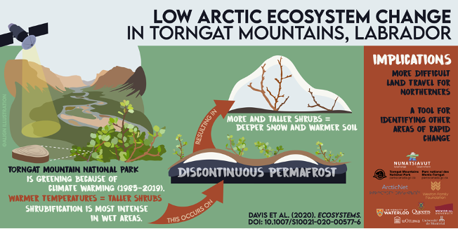 infographic