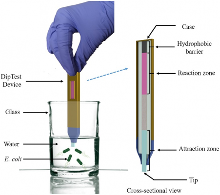 Simple strips developed by Waterloo Engineering researchers