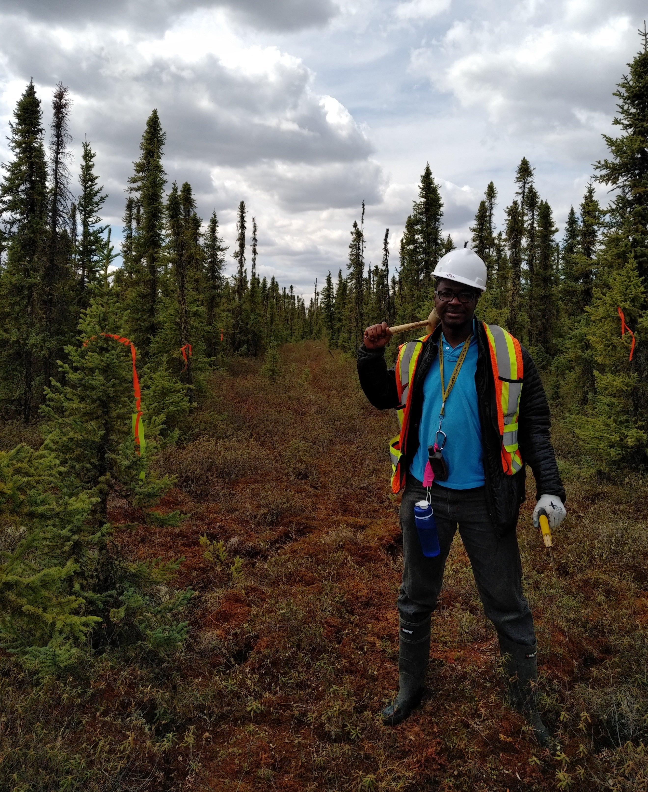 Man in a hardhat and work gear standing in a clear-cut area of woodland