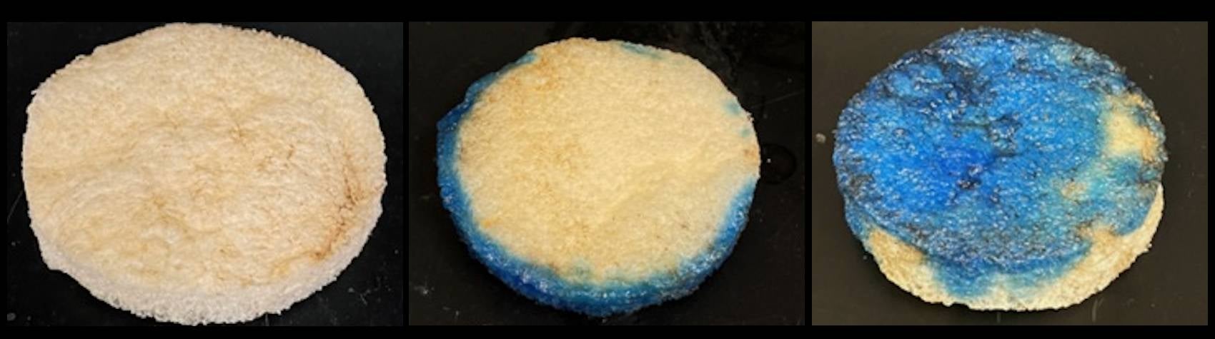 Polymer foam after soaking in oil