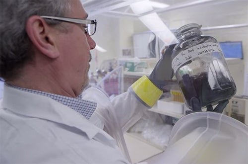 Researcher working in lab