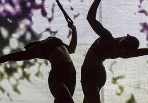 Sara Greenberg performing