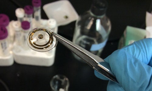 contact lense in lab