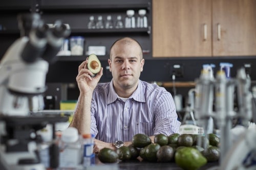Paul Spagnuolo.