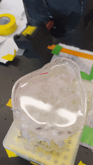 University of Waterloo researchers guide a miniature robot (in pink) through a 3D-printed model of a urinary tract using a revolving magnet on a robotic arm.