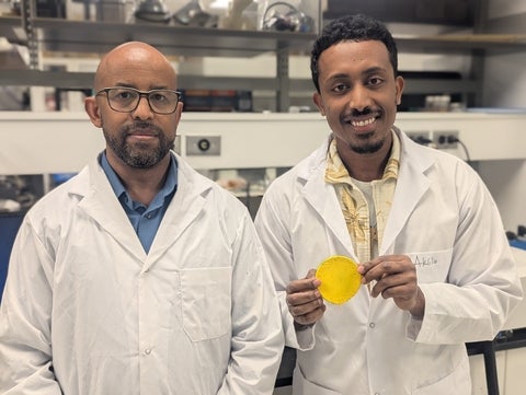 Dr.Tizazu Mekonnen (left) and PhD student Aklilu G. Messele holding the flexible polymer material developed to replace the lead.