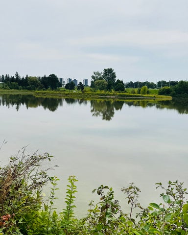 Columbia Lake surrounded by greenery