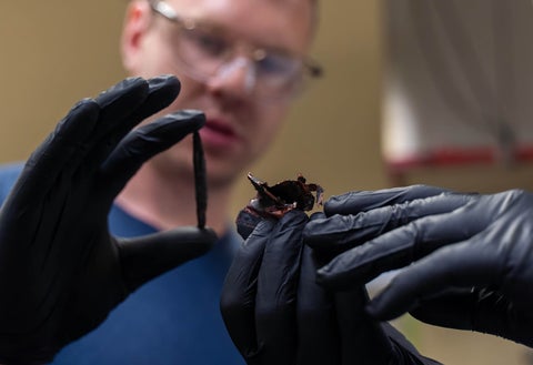 Researchers examine remnants of battery cell after fire
