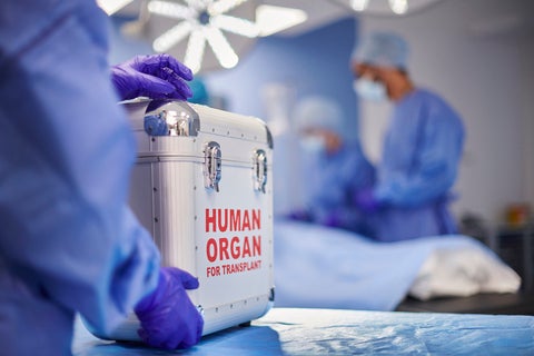 An organ to be used in transplant surgery being kept in a secure case. 