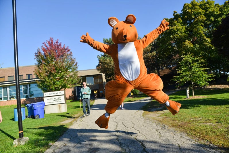 A kangaroo mascot jumping in the air
