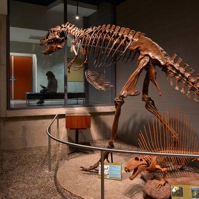 Waterloo Earth Science Museum
