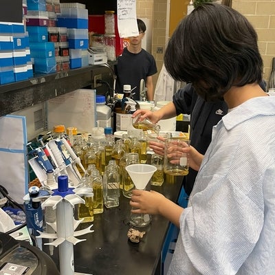 Undergrad student working on an experiment in a research lab 
