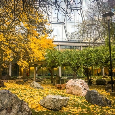 Peter Russell Rock Garden