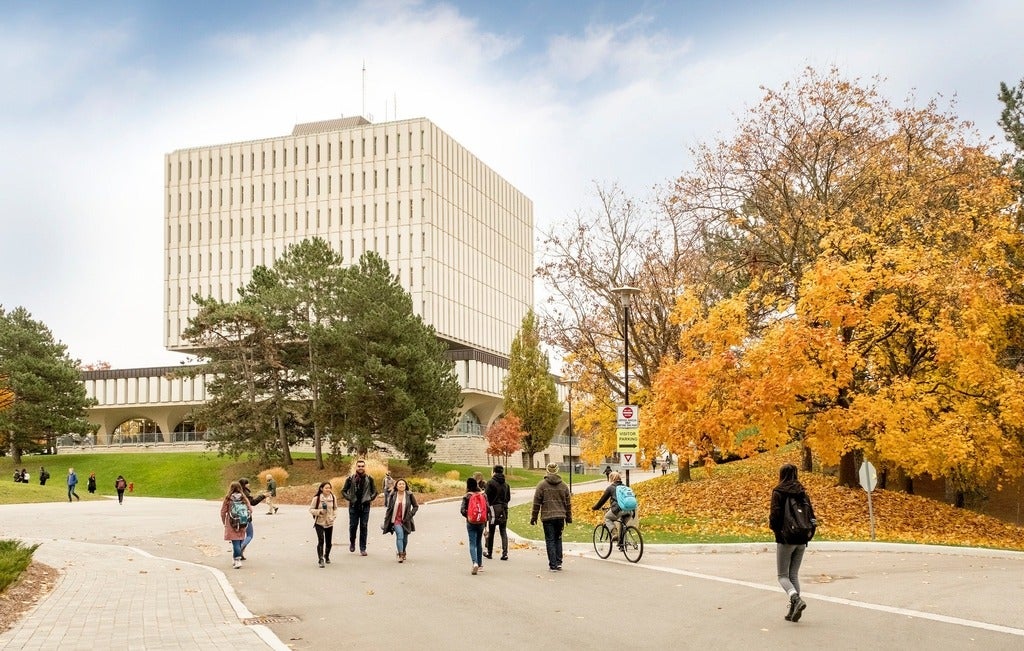 students walking outside the path beside Dana Porter library