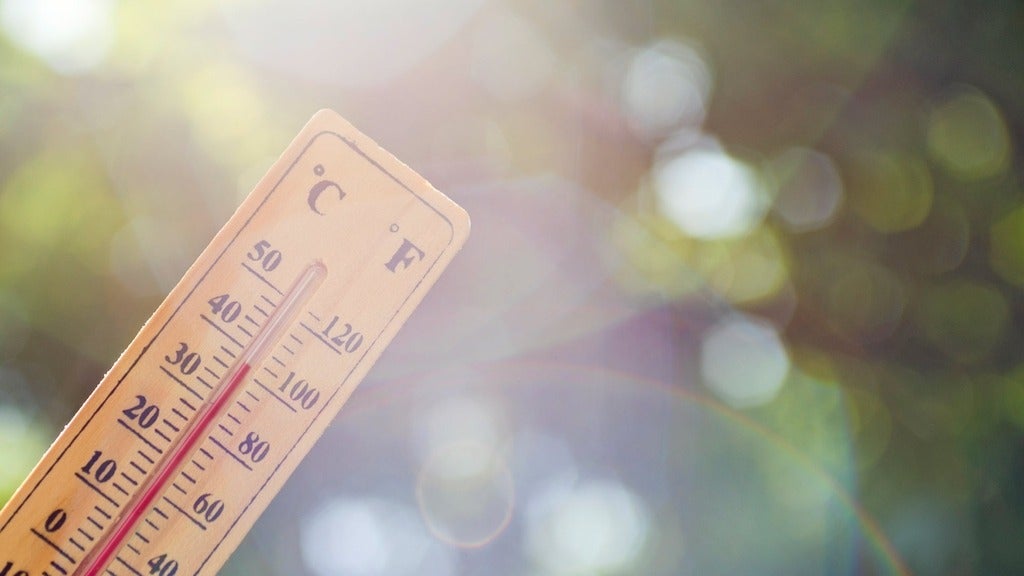 Thermoeter shows over 30-degrees celicus in front of foliage with sun flares